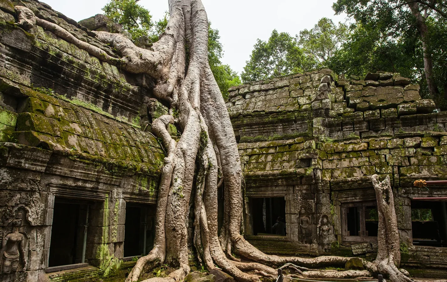 アンコール遺跡群（Angkor Archaeological Park）