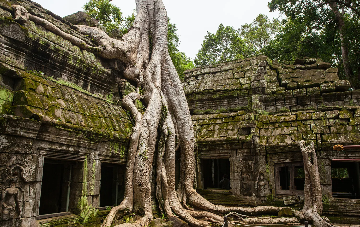 アンコール遺跡群(Angkor Archaeological Park)